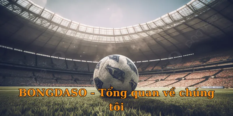 BONGDASO và hành trình phát triển nền tảng